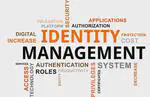 System for Cross-domain Identity Management